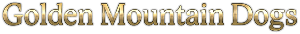 Golden Mountain Dogs